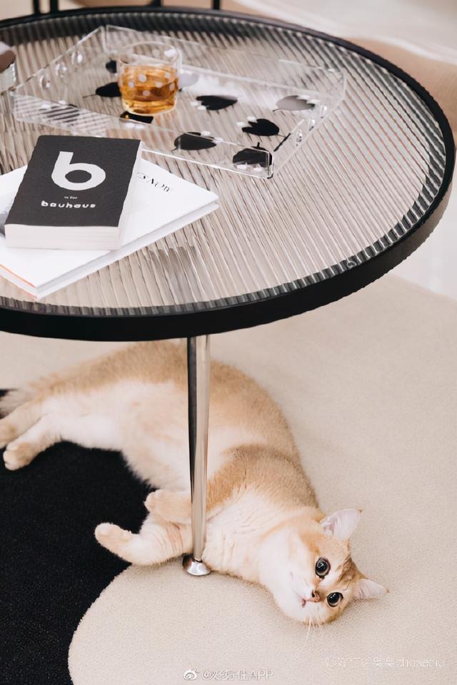 �żҸ�װ�޹�˾